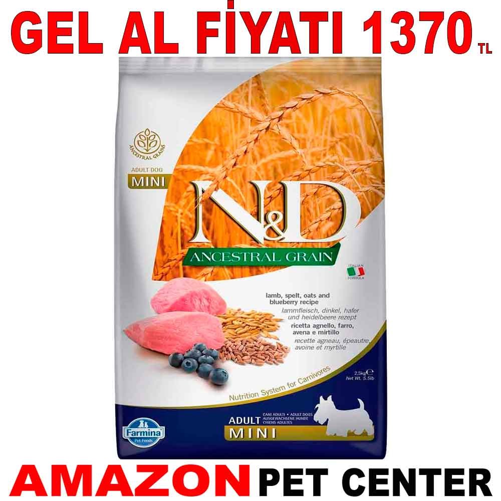 ND Düşük Tahıllı Kuzu Etli Yaban Mersinli Küçük Irk Yetişkin Köpek Maması 2.5 Kg Gel Al 18804003 Amazon Pet Center