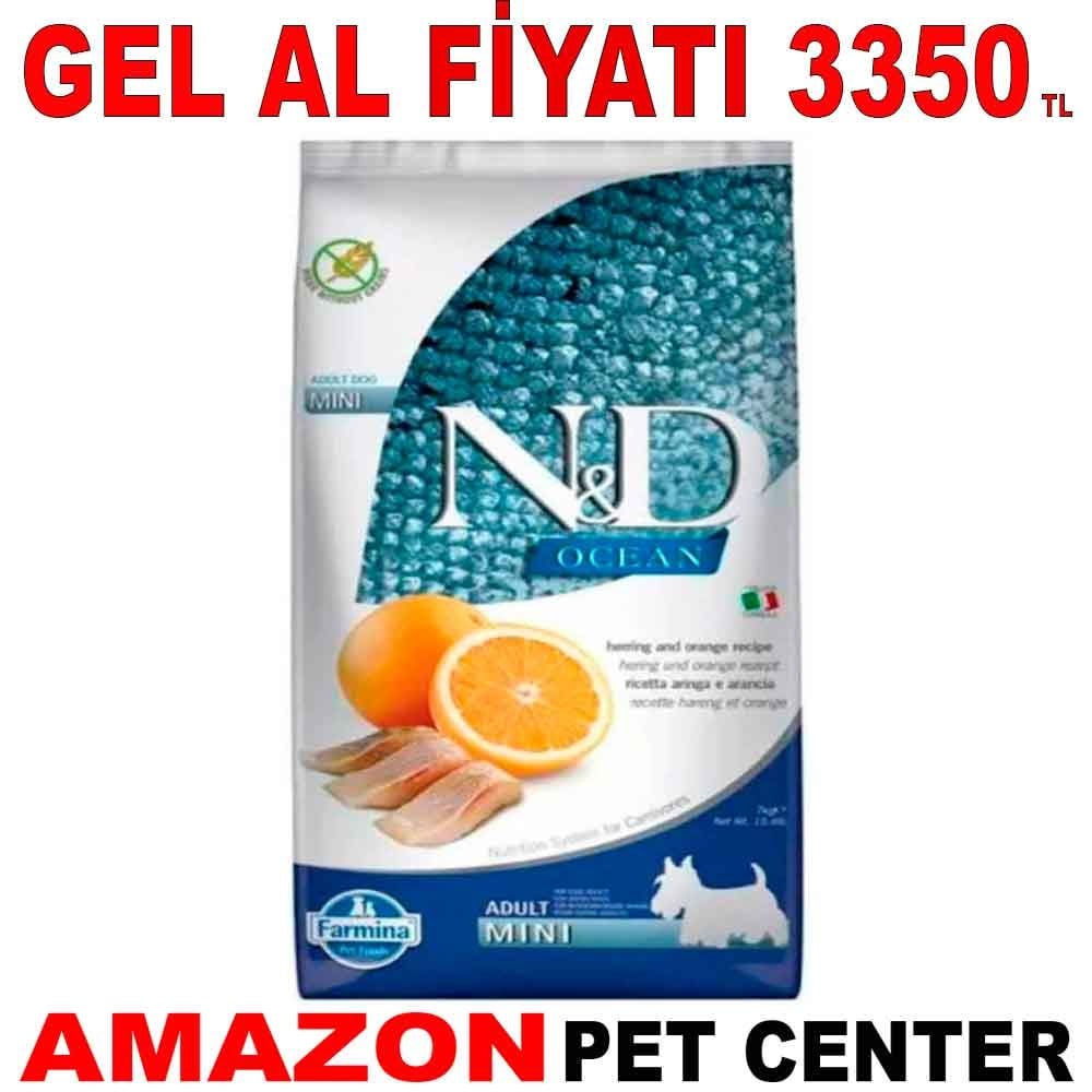 ND Ocean Ringa Balıklı ve Portakallı Tahılsız Küçük Irk Yetişkin Köpek Maması 7 Kg Gel Al 18625004 Amazon Pet Center