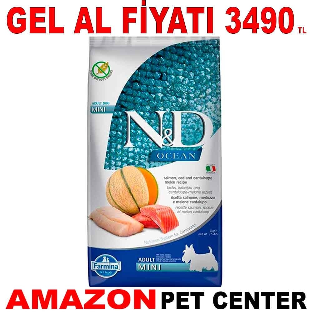 N&D Ocean Somon Morina Balığı Kavunlu Küçük Irk Yetişkin Köpek Maması 7 Kg Gel Al 18637007 Amazon Pet Center