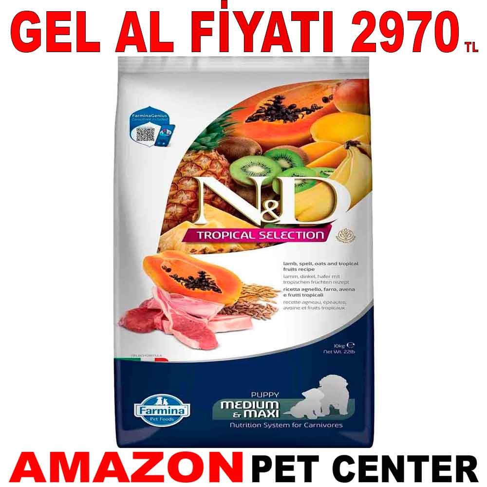 ND Tropical Meyveli Kuzu Etli Orta ve Büyük Irk Yavru Köpek Maması 10 Kg Gel Al 19447001 Amazon Pet Center