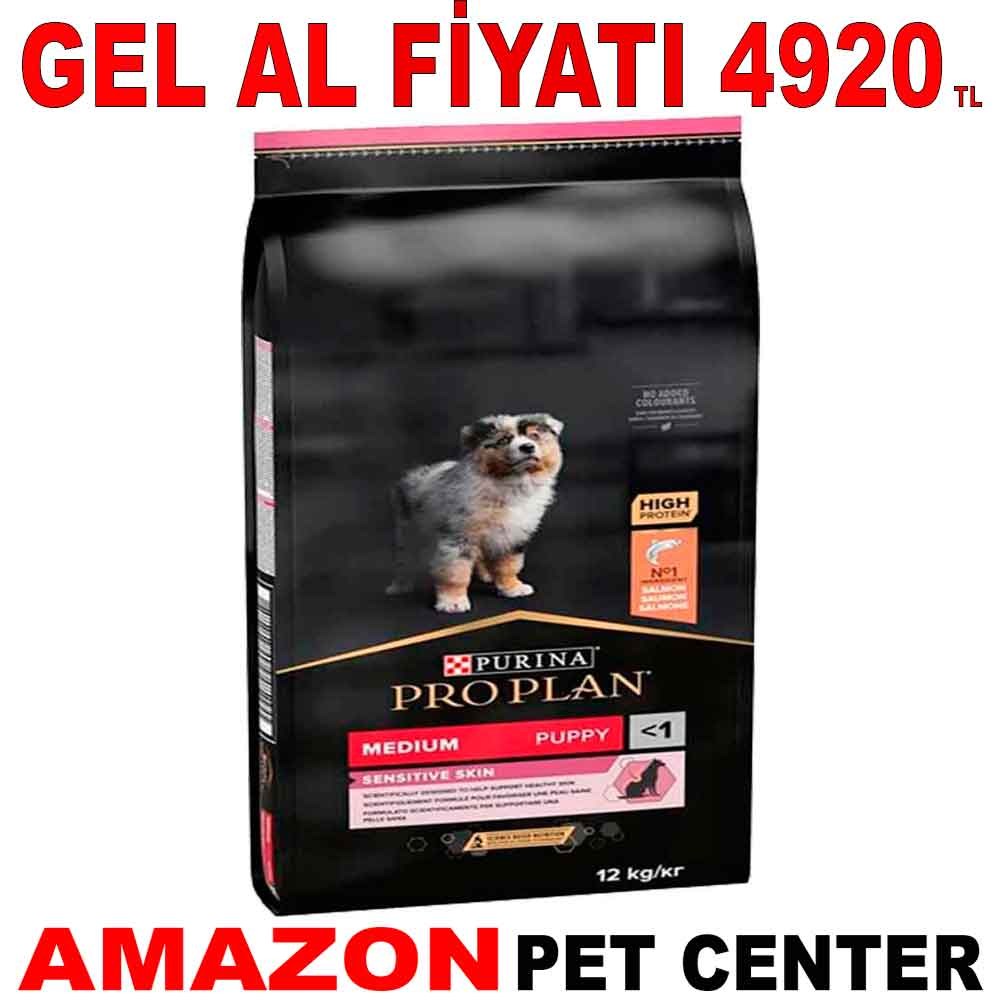 Pro Plan Somonlu Yavru Köpek Maması 12 Kg Gel Al 20170004 Amazon Pet Center