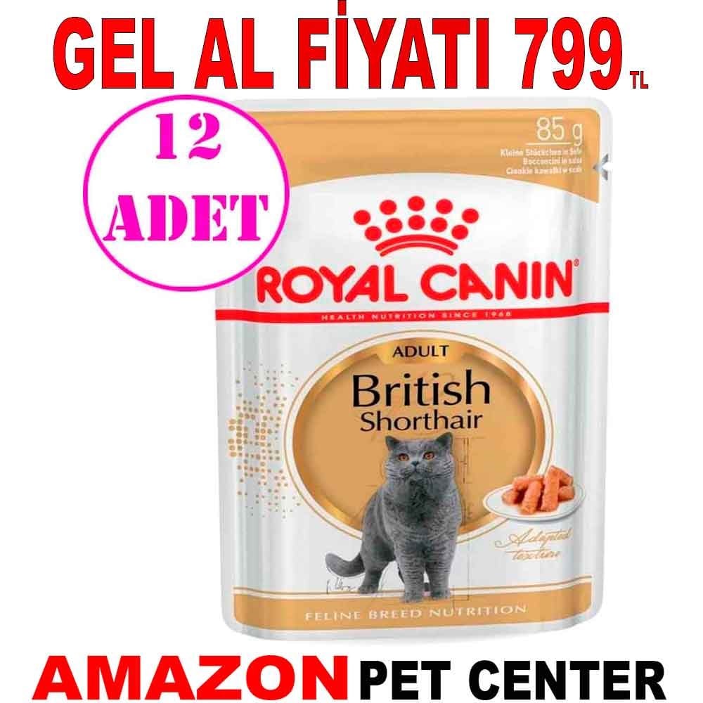 Royal Canin British Shorthair Yetişkin Kedi Konservesi 85 Gr 12 Ad Gel Al 18407006 Amazon Pet Center