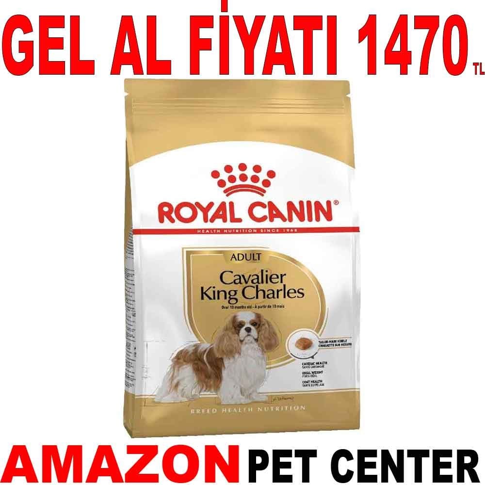 Royal Canin Cavalier King Charles Köpek Maması 3 Kg Gel Al 18321005 Amazon Pet Center