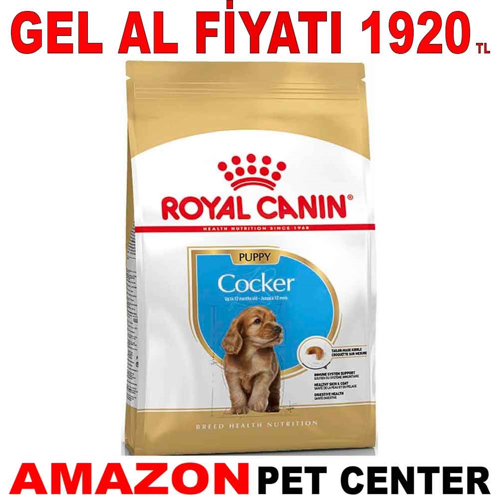 Royal Canin Cocker Junior Yavru Köpek Maması 3 Kg Gel Al 18327007 Amazon Pet Center