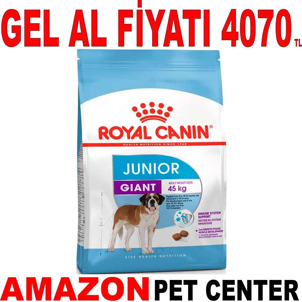 Royal Canin Giant Junior Dev Irk Yavru Köpek Maması 15 Kg 35001164 Amazon Pet Center