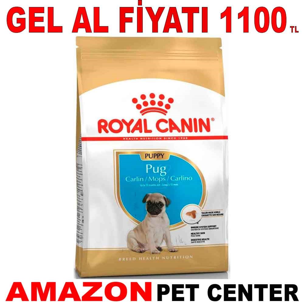 Royal Canin Pug Junior Yavru Köpek Maması 1.5 Kg Gel Al  18336009 Amazon Pet Center