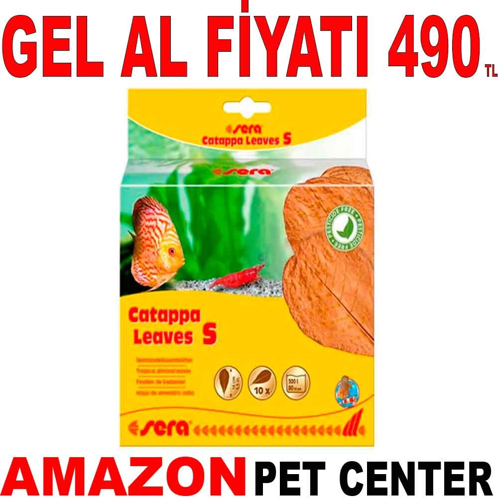 Sera Catappa Yaprağı S 14 Cm 10lu Paket Gel Al 35013099 Amazon Pet Center