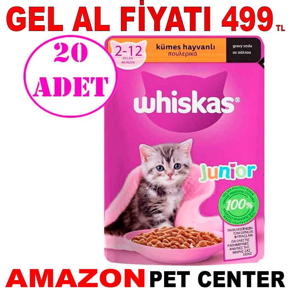 Whiskas Junior Tavuklu Yaş Mama 85 Gr 20 AD Gel Al 18711004 Amazon Pet Center