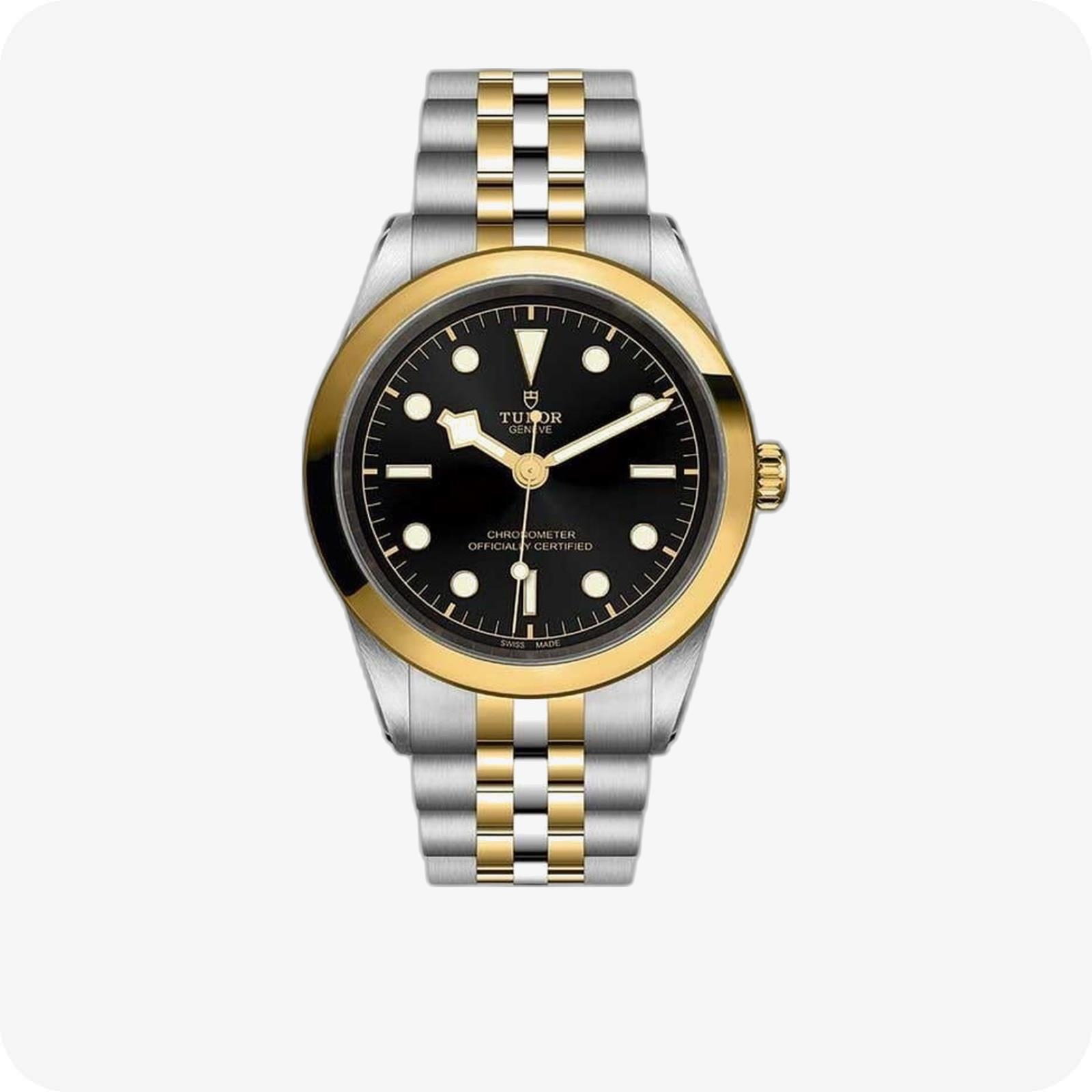 Tudor Black Bay 
