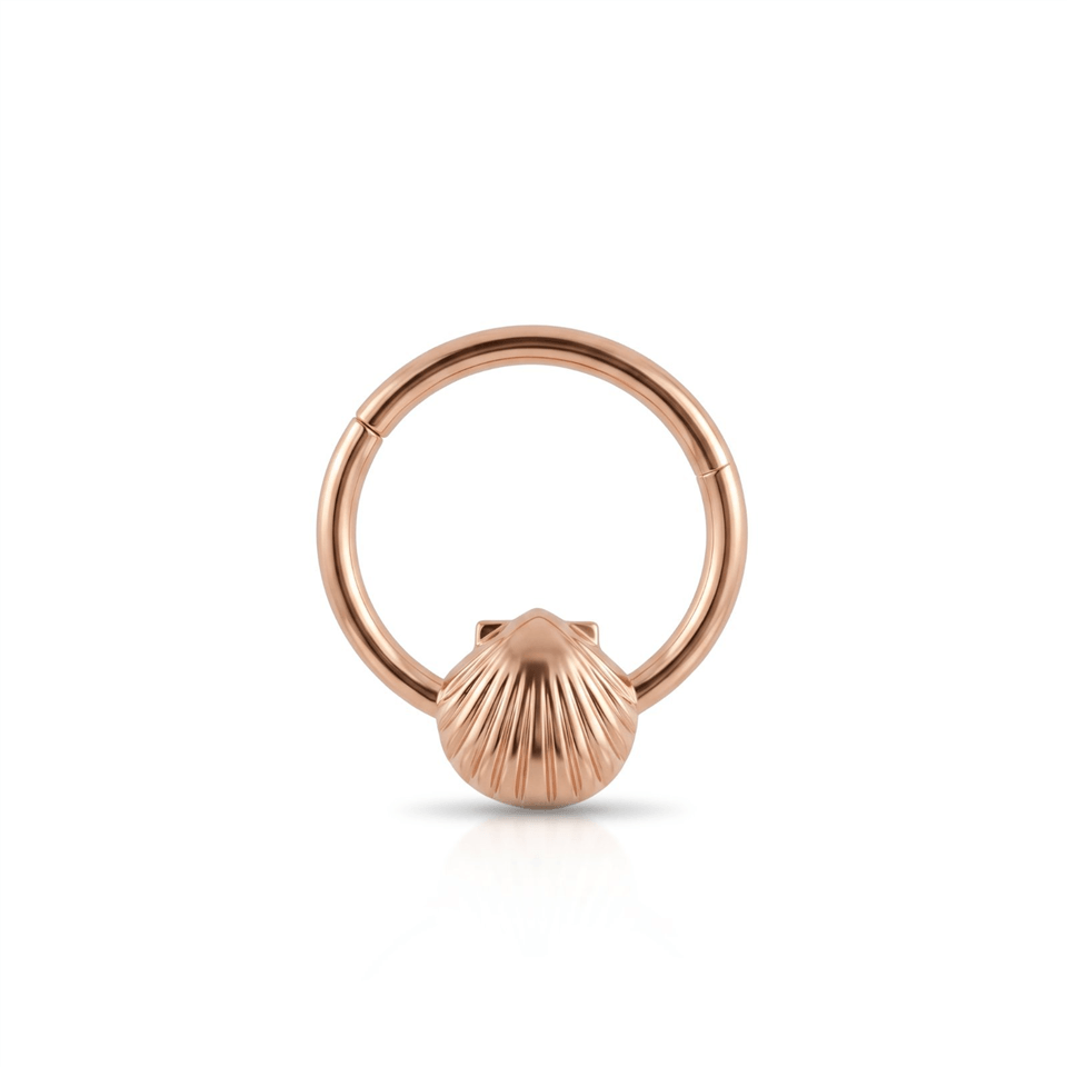 14 Ayar Altın Deniz Kabuğu Minimal Halka Piercing - Dianora Piercing Jewelry