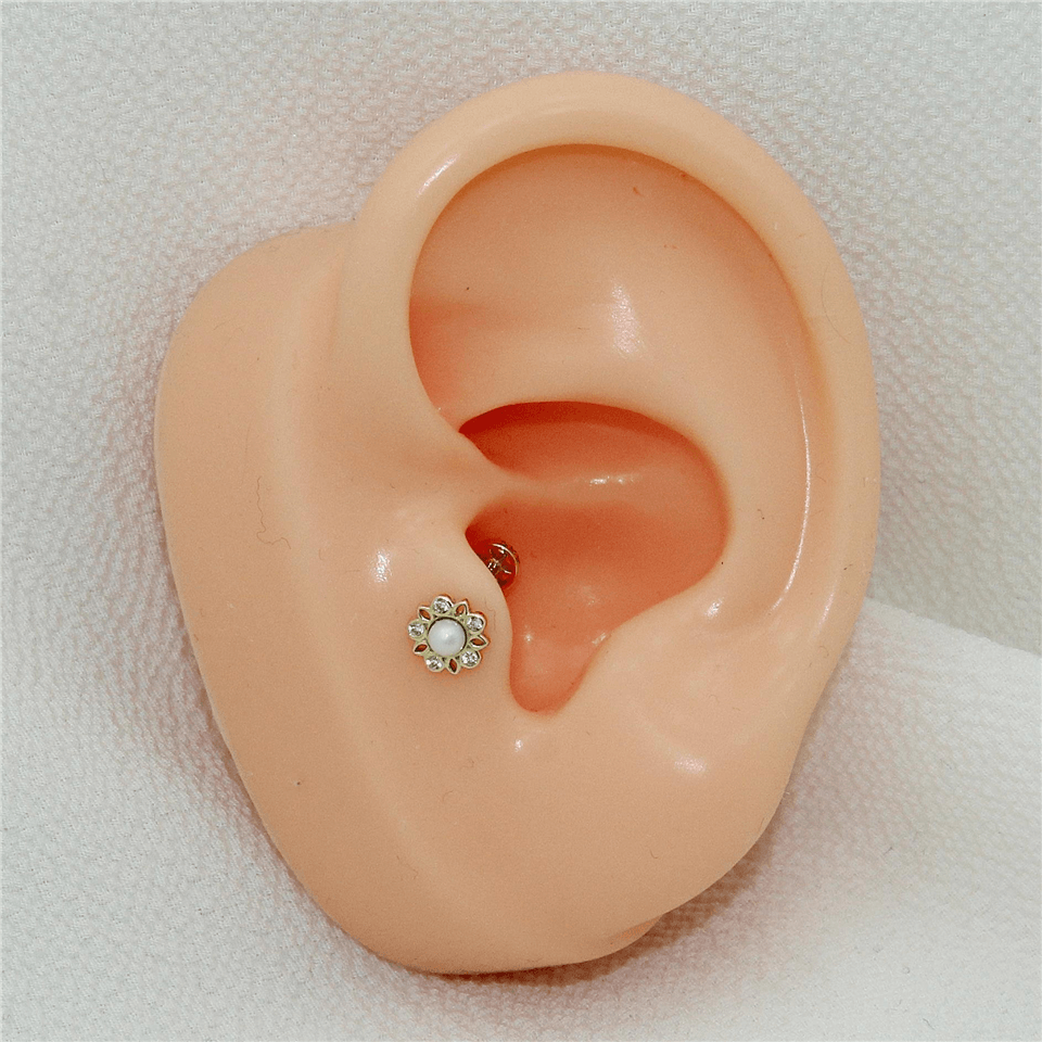 14 Ayar Altın İncili Çiçek Minimal Tragus Piercing - Dianora Piercing Jewelry