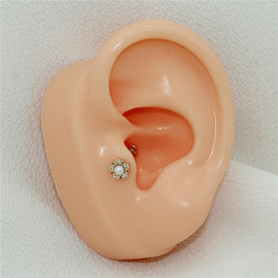 14 Ayar Altın İncili Çiçek Minimal Tragus Piercing - Dianora Piercing Jewelry