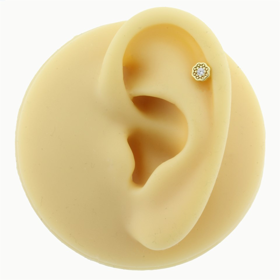 14 Ayar Altın Taşlı Helix/Kıkırdak Piercing