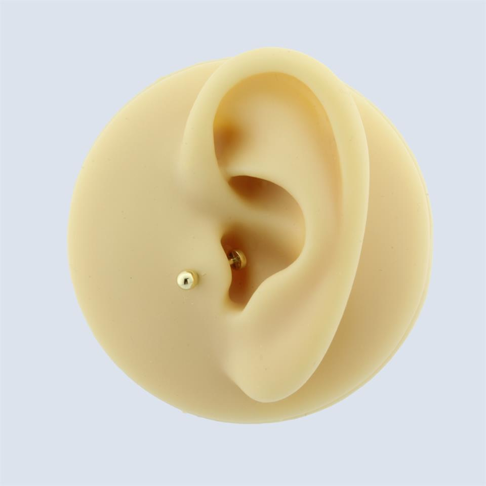 14 Ayar Altın Top Minimal Tragus Piercing