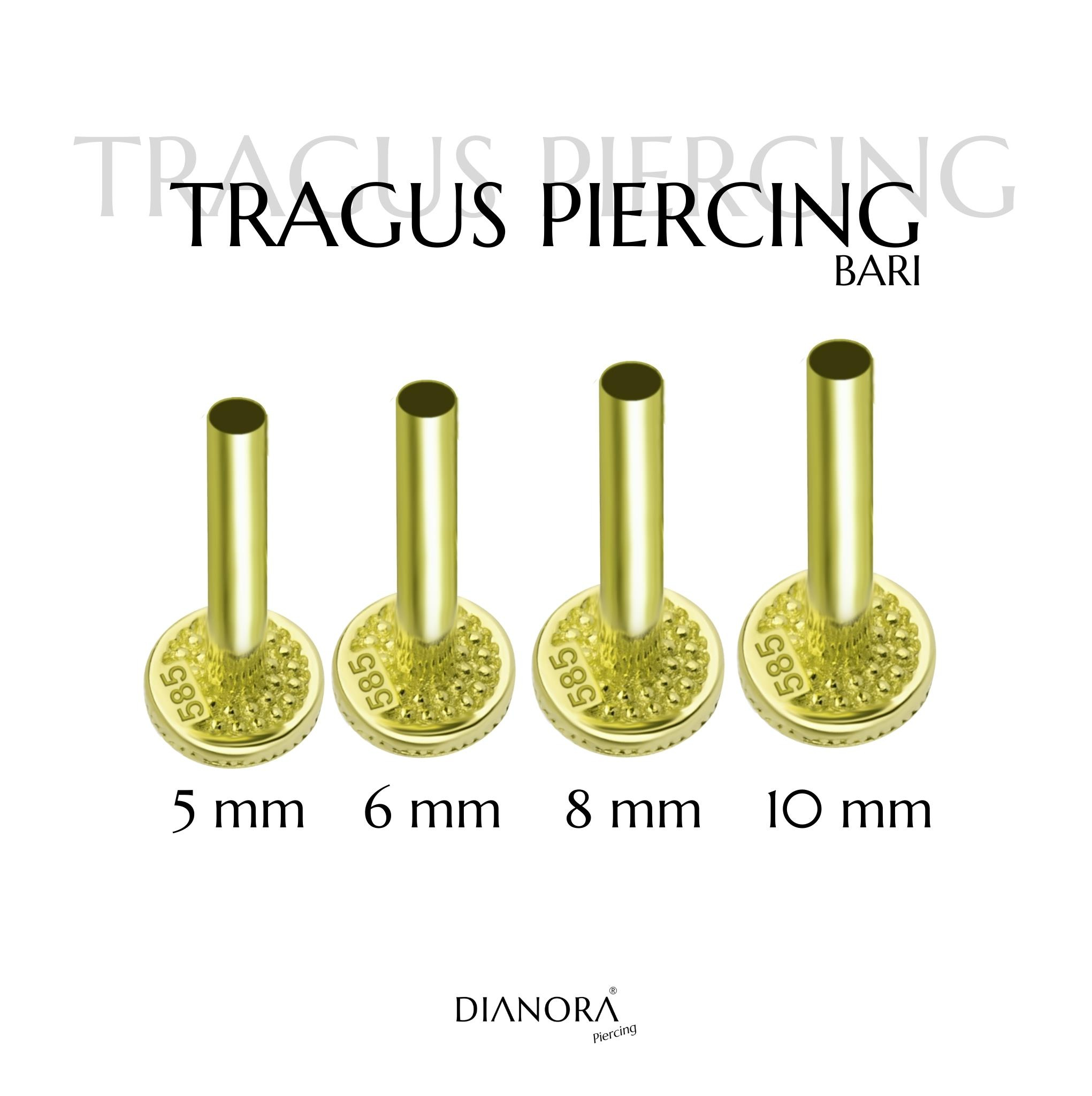 14 Ayar Altın Tragus Piercing Barı