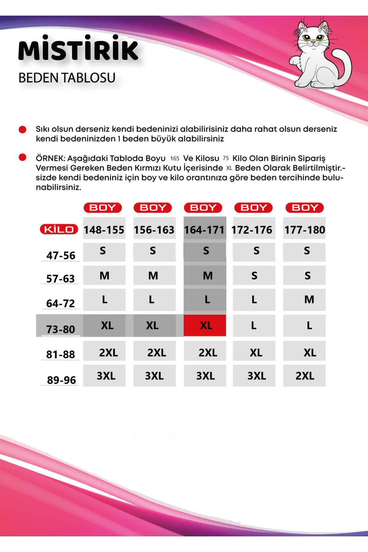 Paranto Model Beli Lastikli Transparan Detaylı Rahat Ve Şık Kadın Külot Siyah Renk