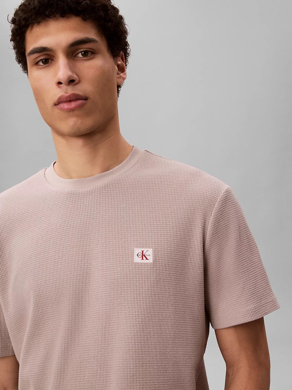 Calvin Klein Calvin Klein Erkek Normal Kesim Yuvarlak Yakalı Logo Etiketli Kısa Kollu Pembe T-Shirt LV04RD008G-K6B