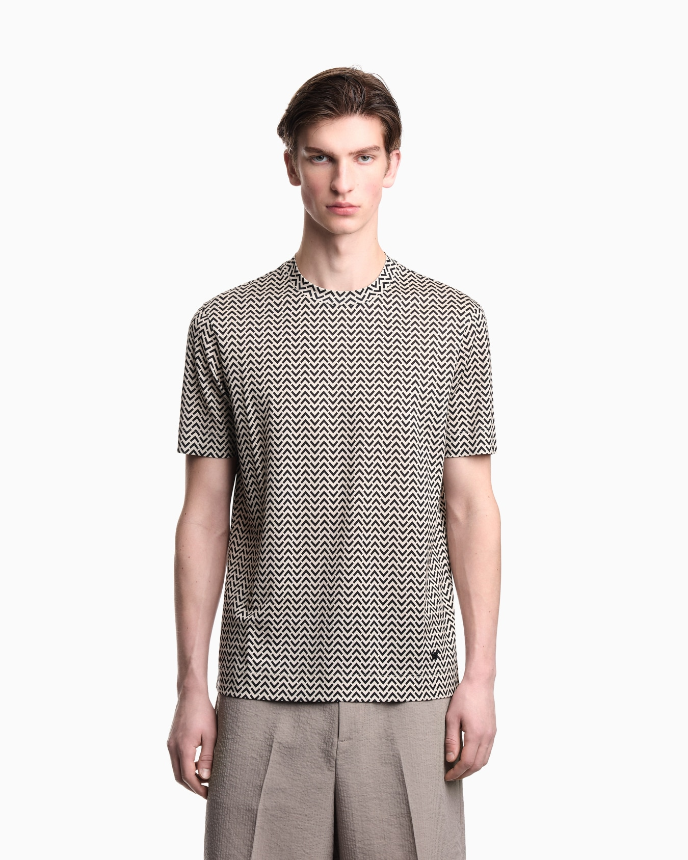 Emporio Armani Emporıo Armani Erkek Desenli Bisiklet Yaka Kısa Kol F1197 T-Shirt EM005270 AF24857-F1197