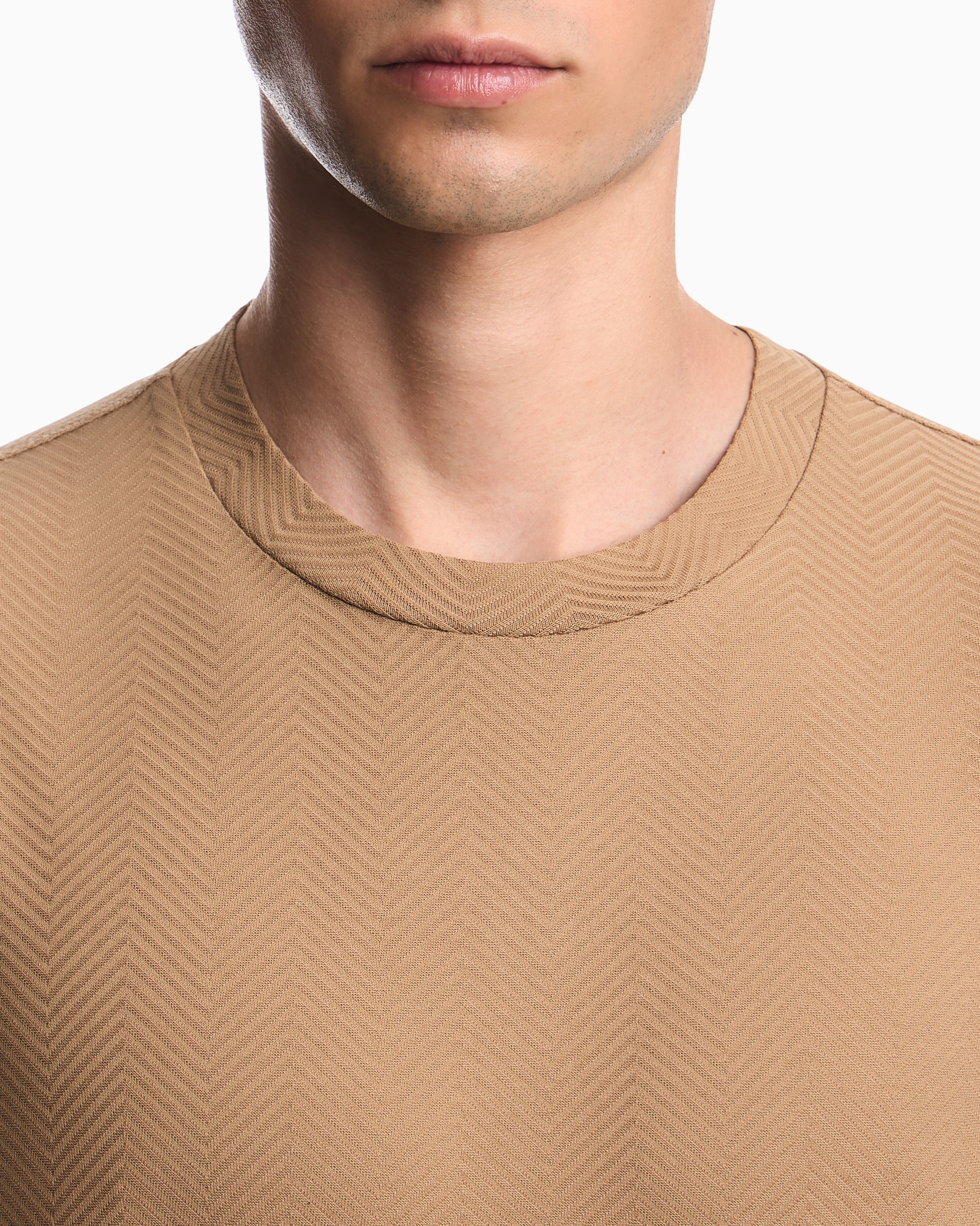 Emporio Armani Emporıo Armani Erkek Normal Kesim Pamuklu Jakarlı Jarse Kumaş Kısa Kollu Bej T-Shirt EM007038 AF10762-F6245