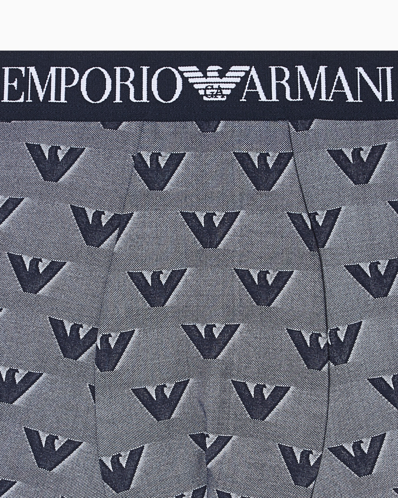 Emporio Armani Emporıo Body Erkek Kartal Logolu Jakarlı Mikrofiber Esnek Kumaşlı Elastik Bel Bantlı Mavi Boxer EM000232 AF19198-FB058
