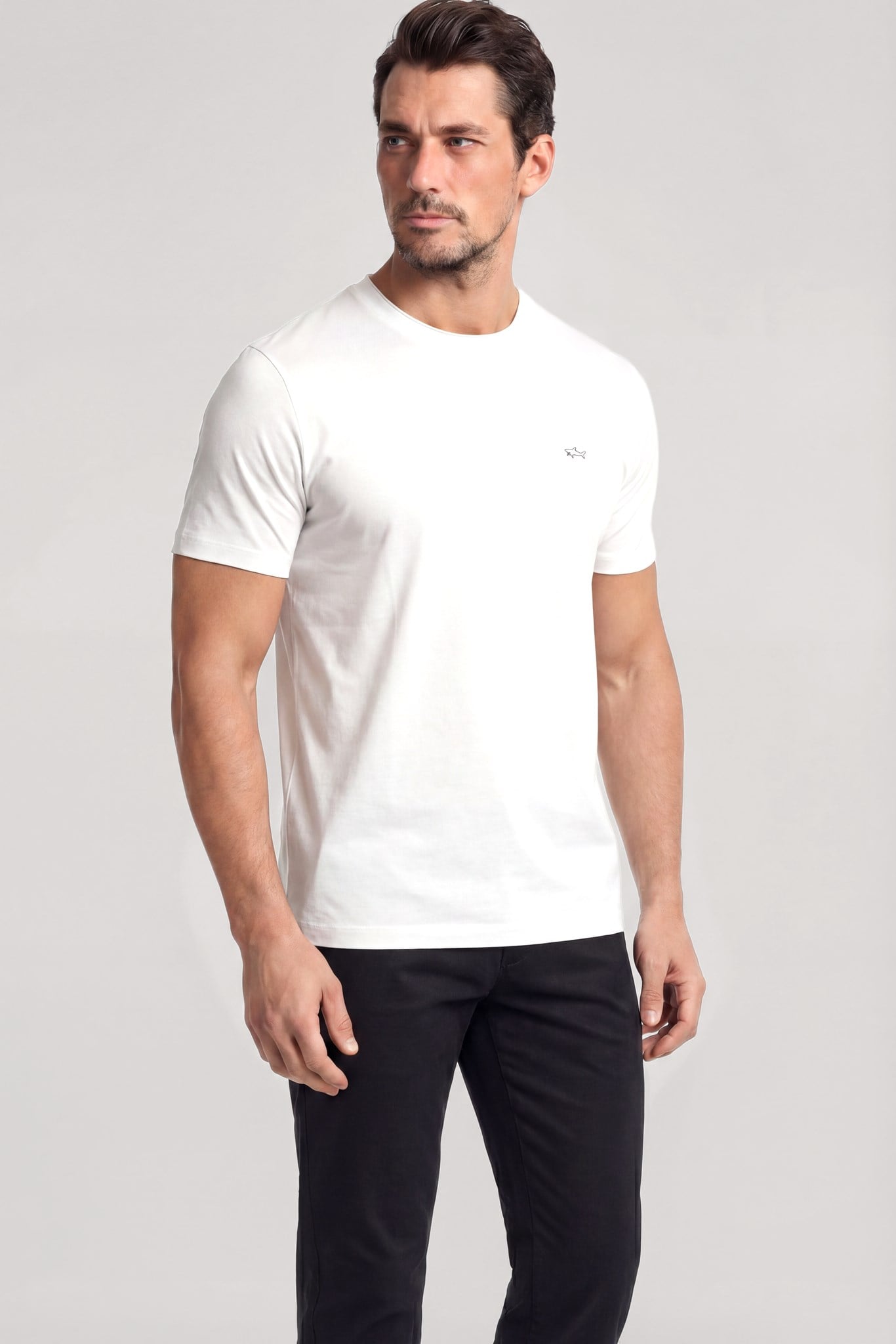 Paul Shark Paul Shark Erkek Dokuma Kumaş Düz Bisiklet Yaka Beyaz T-Shirt 25411026SM-108