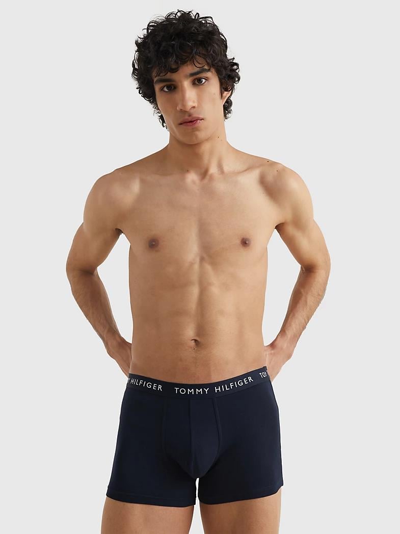 Tommy Hilfiger Tommy Hilfiger Erkek Dokuma Kumaş  Normal Bel  Düz Model Çok Renkli Boxer UM0UM02324-0X0