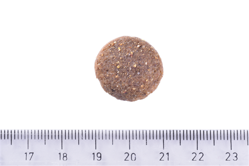 Brit Care Deri Ve Tüy Hassasiyeti Olan, Büyük Irk Yetişkin Köpekler İçin, Tahılsız, Somonlu Kuru Mama 12 kg