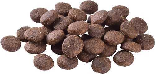 Brit Care Deri Ve Tüy Hassasiyeti Olan Büyük Irk Genç Köpekler İçin, Tahılsız, Somonlu Kuru Mama 3 kg