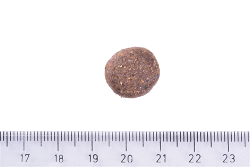 Brit Care Deri Ve Tüy Hassasiyeti Olan Büyük Irk Genç Köpekler İçin, Tahılsız, Somonlu Kuru Mama 3 kg