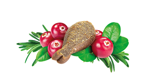 Brit Care İdrar Yolu Problemlerini Düzenlemek İçin, Tahılsız, Fonksiyonel Kedi Ödülü 50 gr