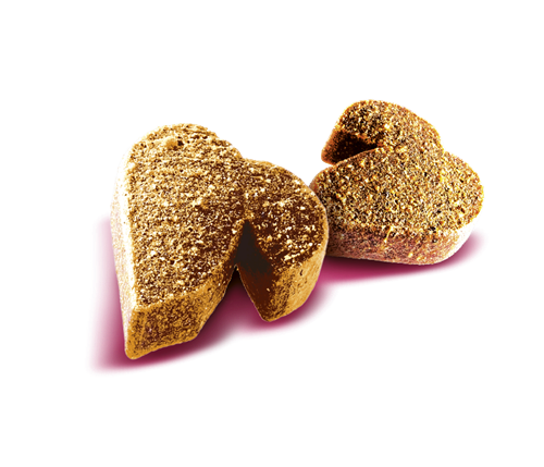 Brit Care Sağlıklı Bağışıklı Sistemi İçin, Tahılsız, Larva Ve Zencefilli, Fonksiyonel Yetişkin Köpek Ödülü 150 gr