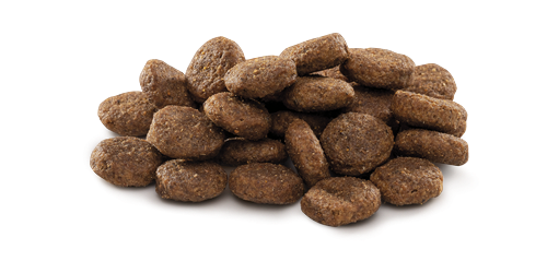 Brit Premium By Nature Büyük Irk Genç Köpekler İçin, Tavuk Etli Kuru Mama 15 kg