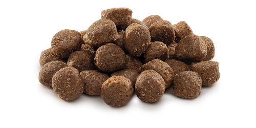 Brit Premium By Nature Orta Irk Yetişkin Köpekler İçin, Tavuk Etli Kuru Mama 15 kg