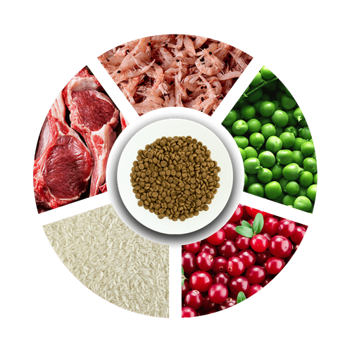 Prochoice Yetişkin Kediler İçin, Hipoalerjenik, Kuzu Etli Ve Pirinçli Kuru Mama 2 kg