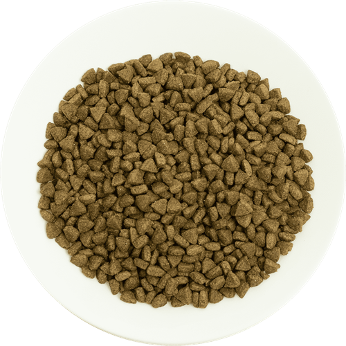 Prochoice Yetişkin Kediler İçin, Hipoalerjenik, Somon Balıklı Ve Pirinçli Kuru Mama 15 kg