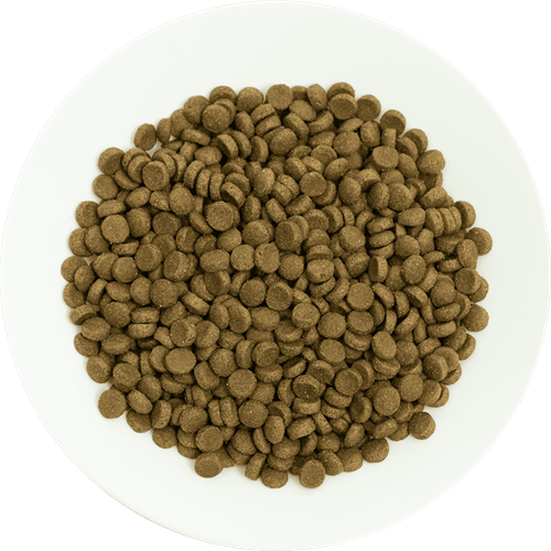 Prochoice Yetişkin Kediler İçin, Hipoalerjenik, Kuzu Etli Ve Pirinçli Kuru Mama 2 kg