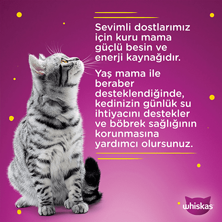 Whiskas Özel Karışık Paket 85gr  (56 adet)
