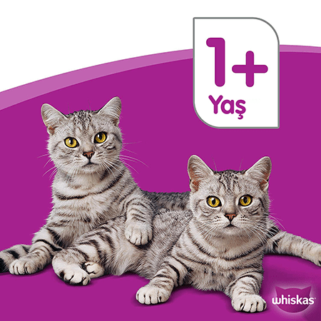 Whiskas Özel Karışık Paket 85gr  (56 adet)