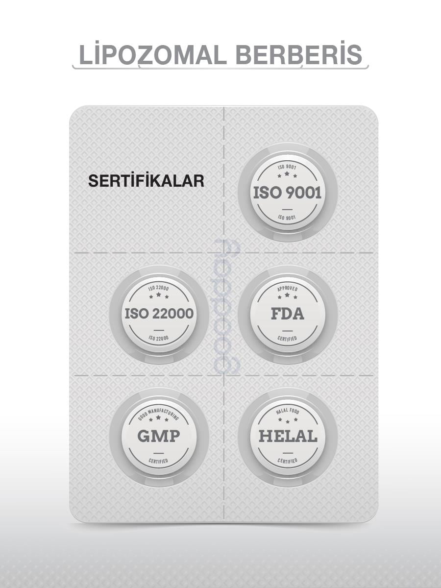 GOODDAYLİPOZOMAL BERBERİS 30 TABLET