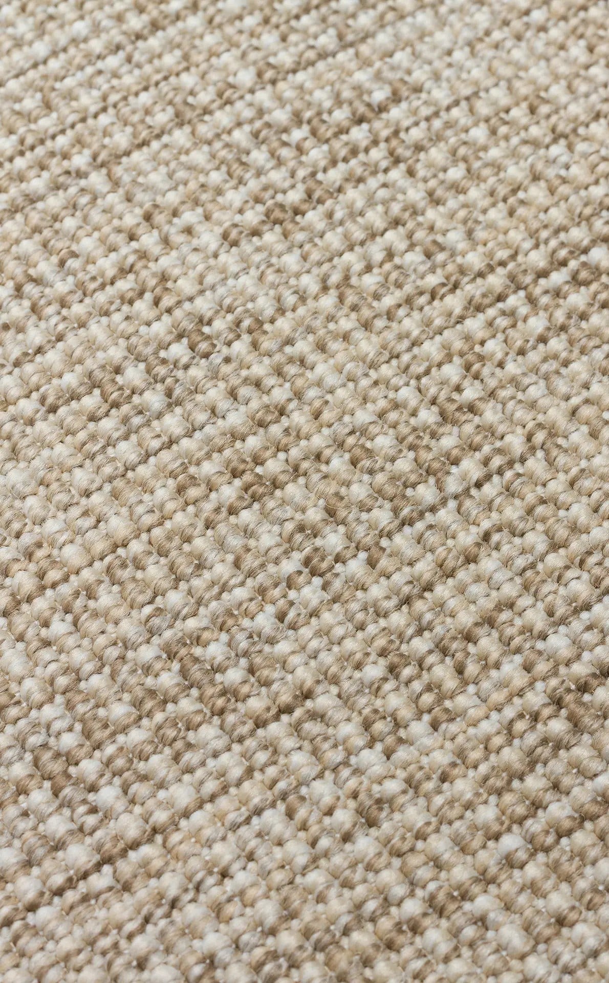 Modern Tasarımlı  Sisal Bej Dokuma Siyah Kumaş Bordür Halı vnt 2703