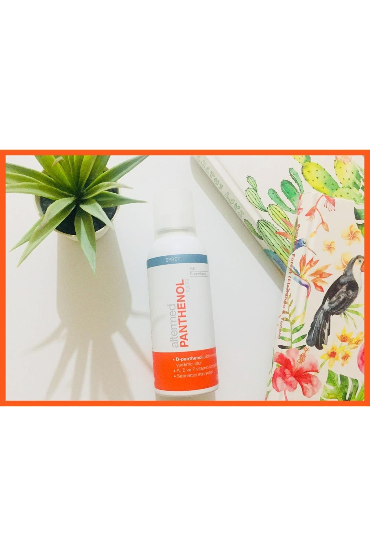 AltermedAltermed %9 Panthenol Forte Sprey 150 ml 10'luAltermed %9 Panthenol Forte Sprey 150 ml Fiyatı ve Özellikleri | Mutlufiyatlar