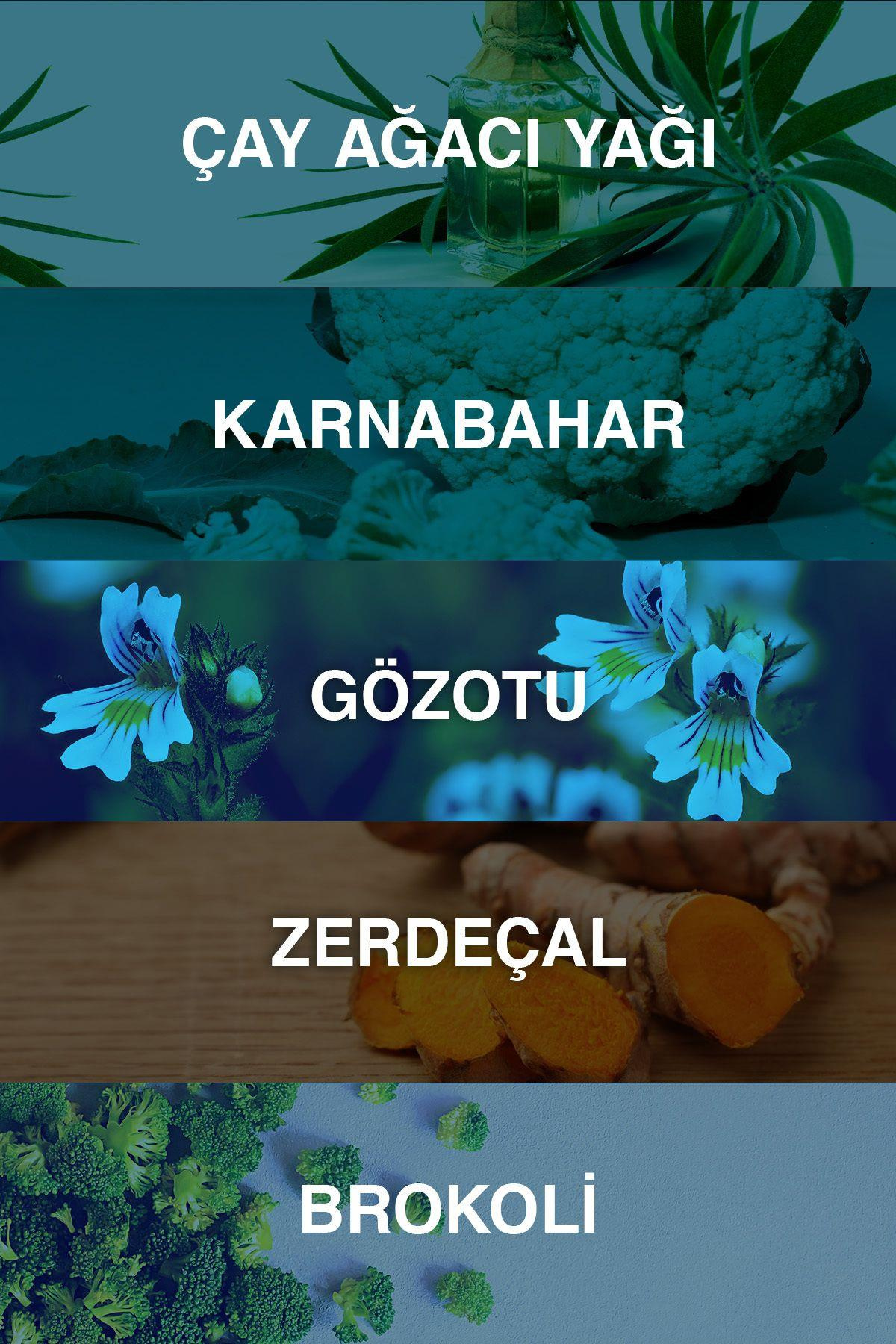 BioxcinBioxcin Acnium Cilt Temizleme Jeli 2x500 ml 1 Alana 1 BedavaBioxcin Acnium Yüz Yıkama Jeli Sebium Dengeleyici 500 ml - 1+1 Hediyeli Fiyatı ve Özellikleri | Mutlufiyatlar