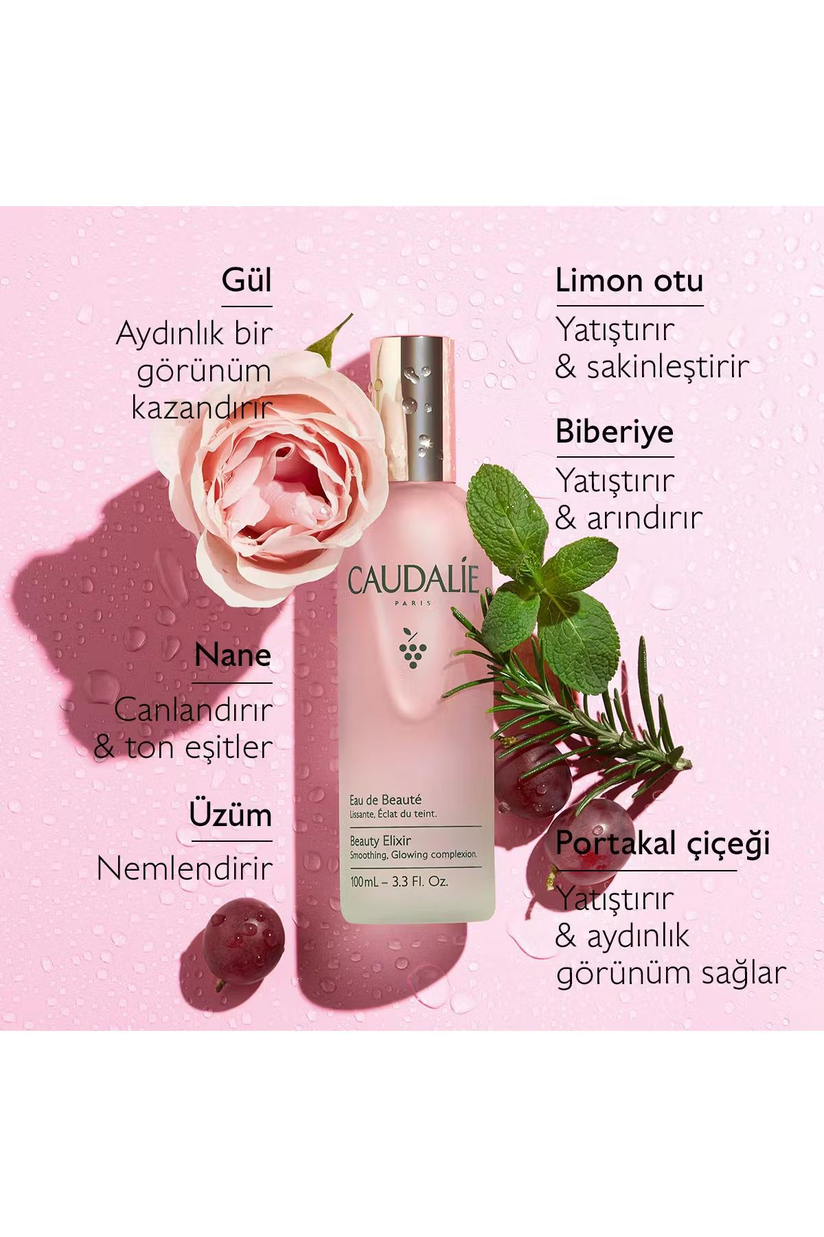 CaudalieCaudalie Beauty Elixir Güzellik İksiri Sprey 100 mlCaudalie Beauty Elixir Güzellik İksiri Sprey 100 ml Fiyatı ve Özellikleri | Mutlufiyatlar