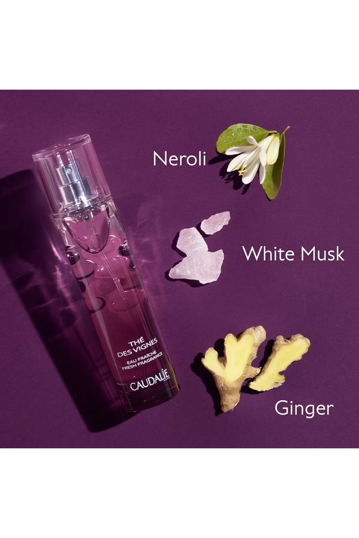 CaudalieCaudalie Thé des Vignes  Aromalı Parfüm 50 mlCaudalie Thé des Vignes Parfüm 50 ml | Hafif Çiçeksi Esinti