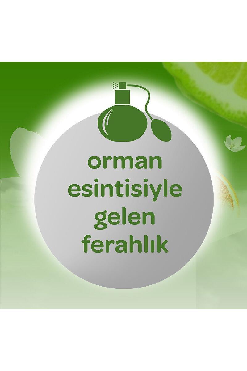 DalinDalin Bebek Kolonyası Orman Esintisi 100 ml 5'liDalin Bebek Kolonyası Orman Esintisi 100 ml Fiyatı ve Özellikleri | Mutlufiyatlar