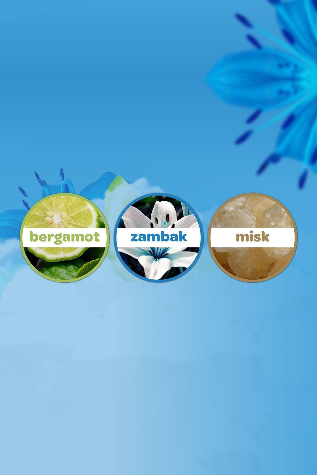 DalinDalin Deniz Esintisi Bebek Kolonyası 100 ml 10'luDalin Deniz Esintisi Bebek Kolonyası 100 ml | Hızlı Kargo & Güvenli Alışveriş
