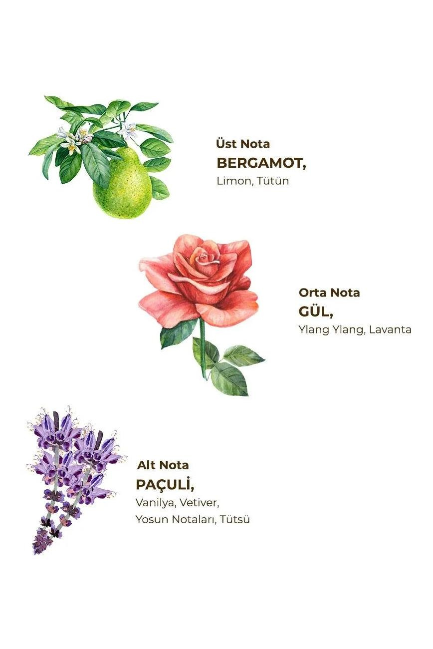 Eyüp Sabri Tuncer Eyüp Sabri Tuncer Kolonya Tütün 1 ltEyüp Sabri Tuncer Tütün Kolonyası 1000 ml Fiyatı ve Özellikleri | Mutlufiyatlar