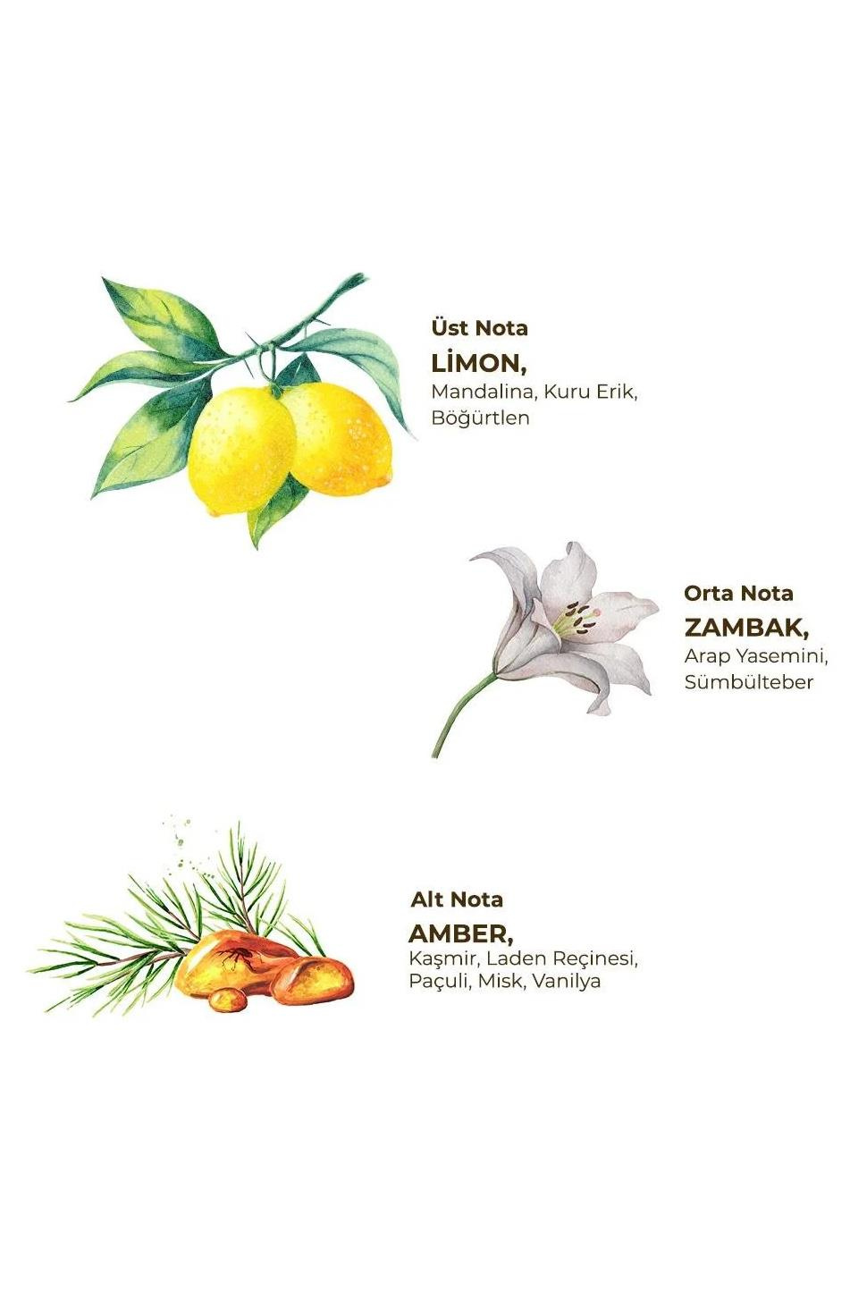 Eyüp Sabri Tuncer Eyüp Sabri Tuncer Kolonya Yasemin 400 ml Pet Şişe Eyüp Sabri Tuncer Yasemin Kolonyası Pet Şişe 400 ml Fiyatı ve Özellikleri | Mutlufiyatlar