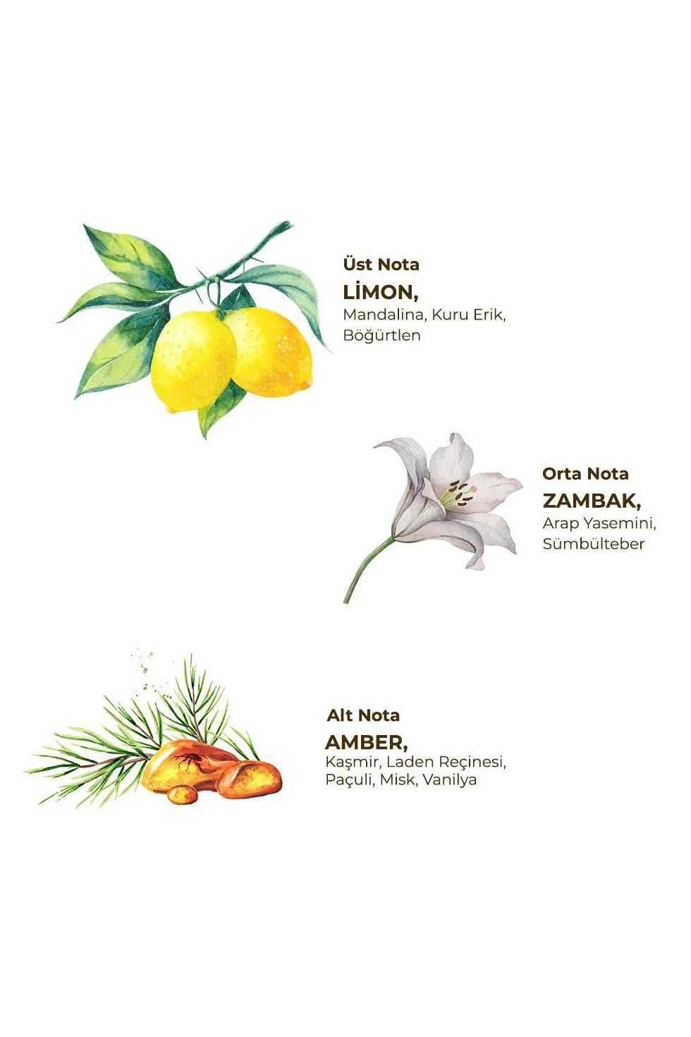 Eyüp Sabri Tuncer Eyüp Sabri Tuncer Sprey Kolonya Yasemin150 mlEyüp Sabri Tuncer Yasemin Kolonya Sprey 150 ml Fiyatı ve Özellikleri | Mutlufiyatlar