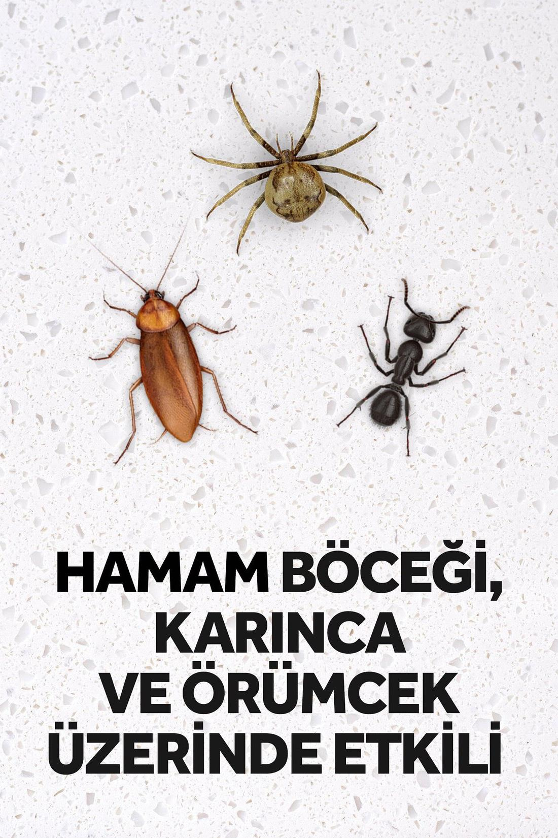 RaidRaid Max Kokusuz Böcek Savar 300 ml Raid Böcek Savar Max 300 ml Fiyatı ve Özellikleri | Mutlufiyatlar